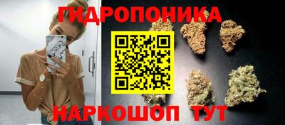 крисы Абинск