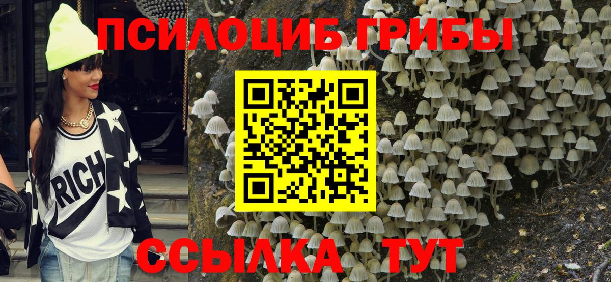 Галлюциногенные грибы Psilocybine cubensis Амурск