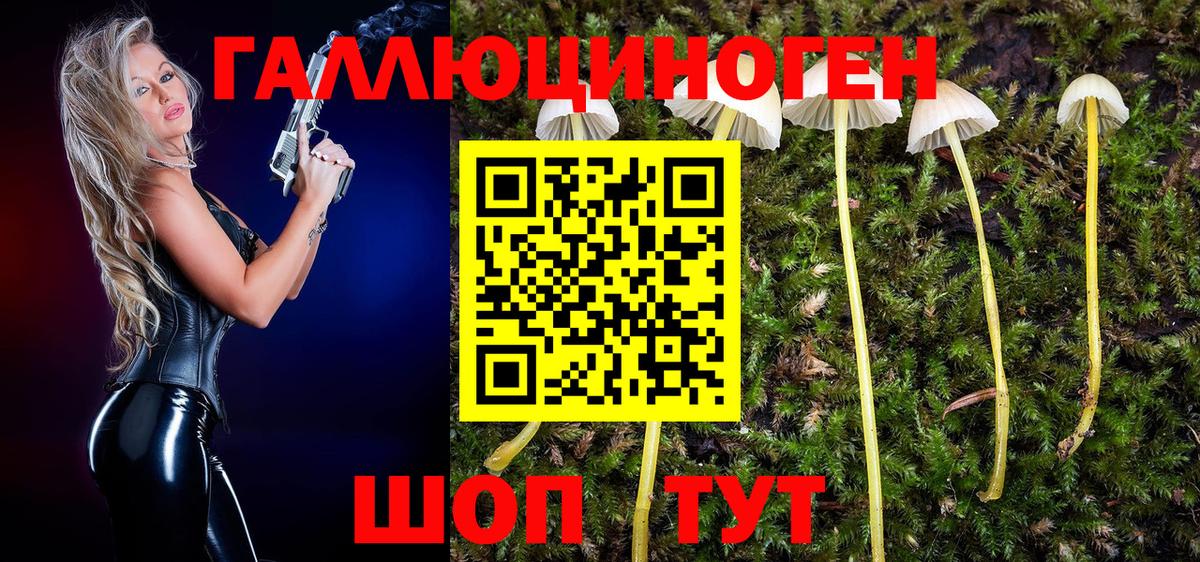 Галлюциногенные грибы Psilocybine cubensis  Вход с VPN  Амурск 